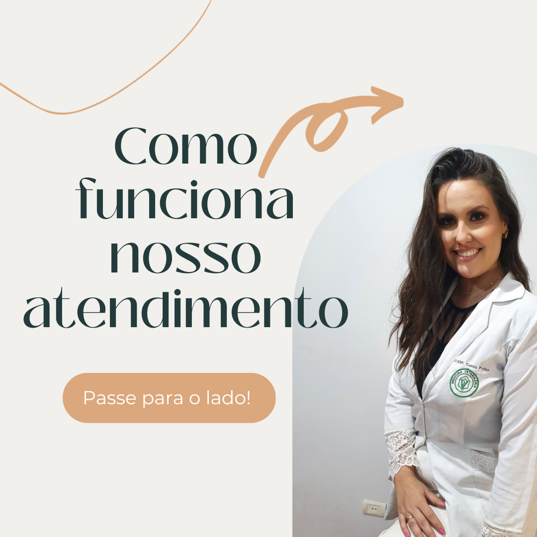 Atendimento