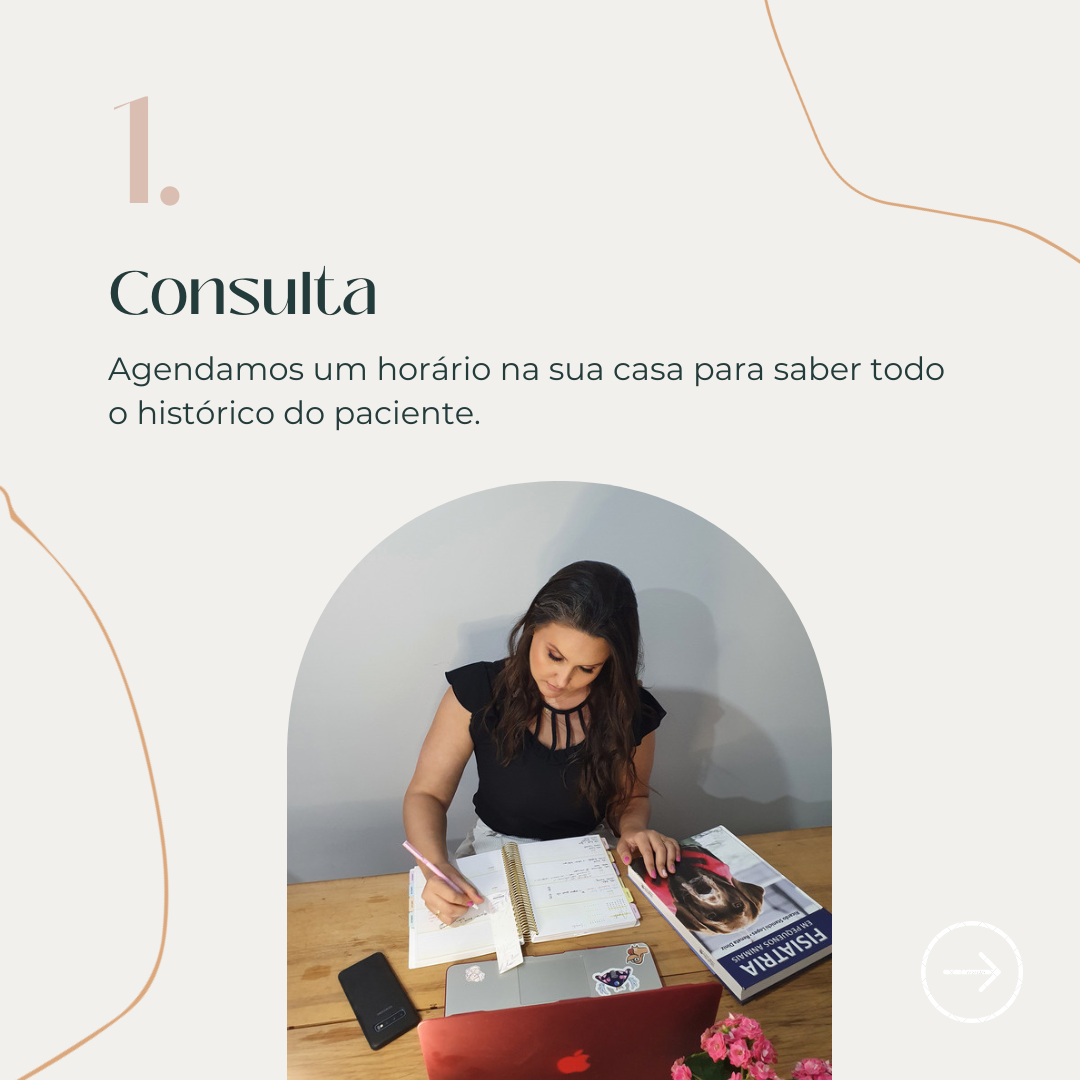 Consulta