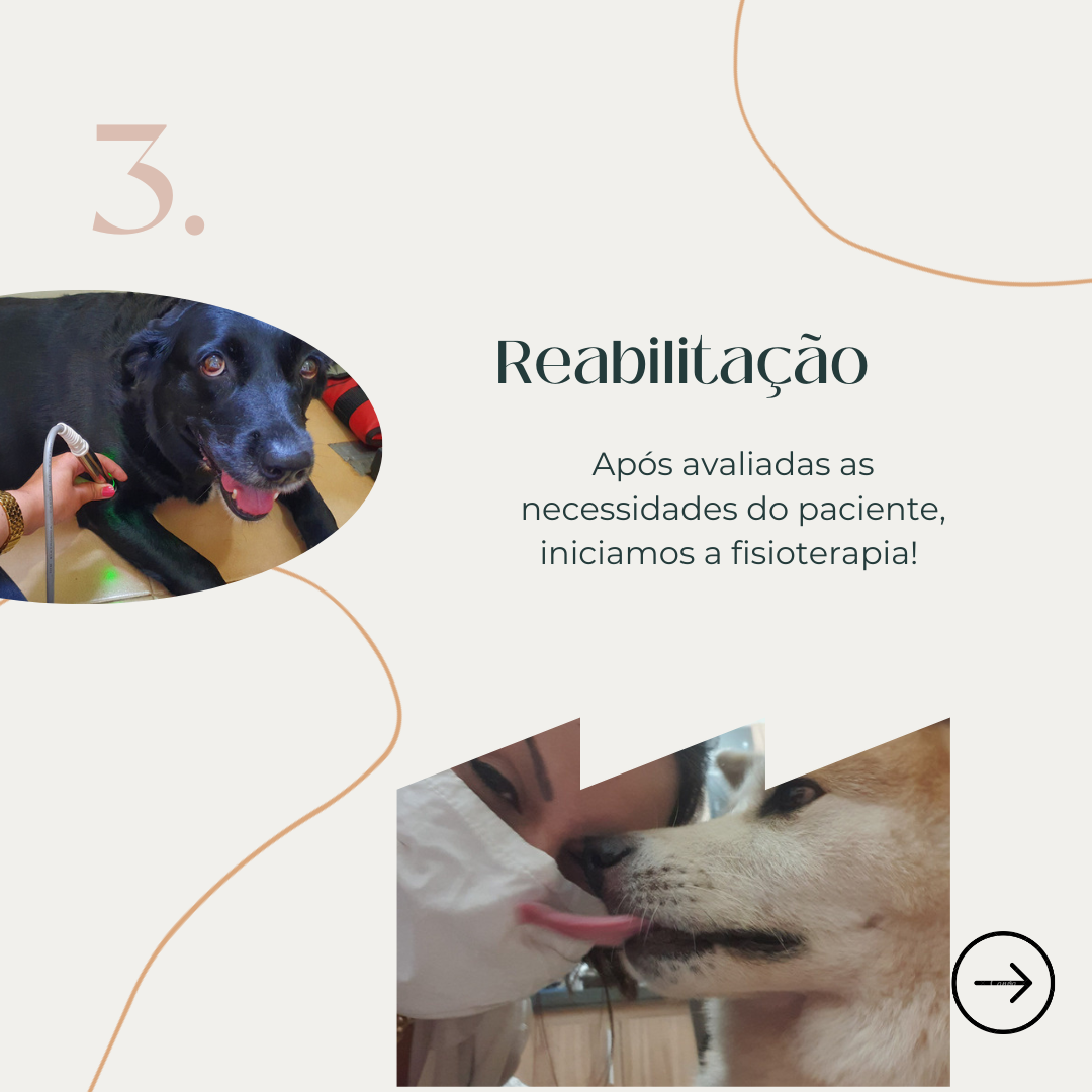 Reabilitação